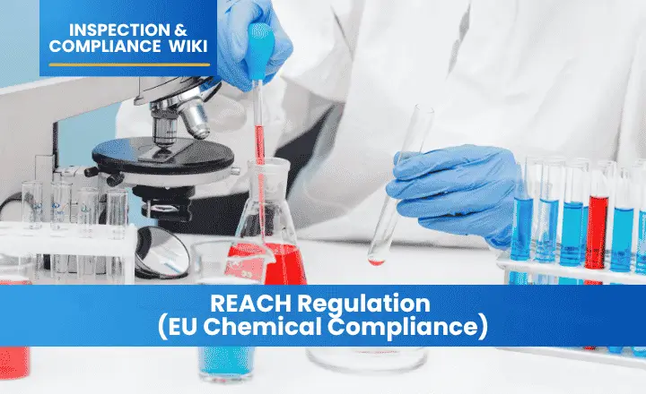 REACH Regulation (EU Chemical Compliance)